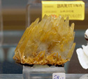 GMA. III Feria de Minerales, Fósiles y Gemas de Oliva