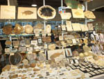 GMA. 2ª Feria de Minerales de Elche