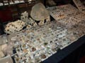 GMA. XXI Feria de Minerales y Fósiles de la Unión