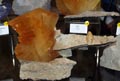 GMA. XXI Feria de Minerales y Fósiles de la Unión