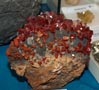 GMA. XXI Feria de Minerales y Fósiles de la Unión