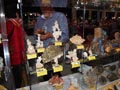 GMA. XXI Feria de Minerales y Fósiles de la Unión