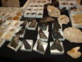 GMA. XXI Feria de Minerales y Fósiles de la Unión