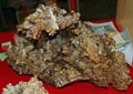 GMA. XXI Feria de Minerales y Fósiles de la Unión