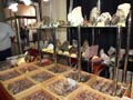 GMA. XXI Feria de Minerales y Fósiles de la Unión