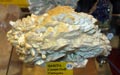 GMA. XXI Feria de Minerales y Fósiles de la Unión