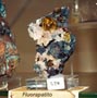 GMA. XXI Feria de Minerales y Fósiles de la Unión