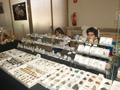 GMA. XXII Feria de Minerales y Fósiles dela Unión