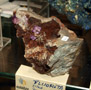 GMA. XXII Feria de Minerales y Fósiles dela Unión