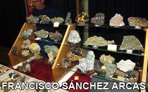 FEM. XXII Feria de Minerales y Fósiles dela Unión