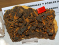 GMA. XXII Feria de Minerales y Fósiles dela Unión