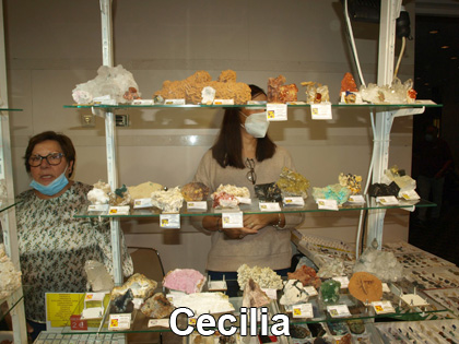 GMA. Minerval 2021. 34 Feria de  Minerales, Fósiles y Gemas de Valencia