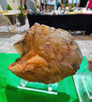 Feria de Minerales de Beas de Granada 2023 