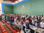 XI Feria de Minerales de Colmenar Viejo 