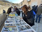 VIII Mesa de Intercambio de Minerales y Fósiles de Alicante. 