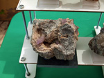 VII Mesa de Intercambio de Minerales y Fósiles de Alicante. 