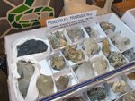 III Mesa de Minerales de Deifontes. 