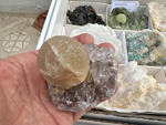 IX Mesa de Intercambio de Minerales y Fósiles de Alicante. 