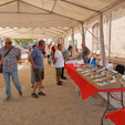 Feria  de Minerales de Linares 2024 