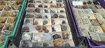 I Mesa de Minerales del Mar Menor. San Pedro del Pinatar 