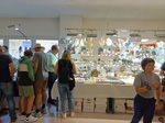 VI Feria de Minerales y Fósiles TORRELAVEGA