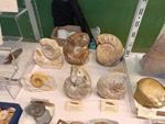 III Feria internacional de Minerales, Fósiles y gemas. Utrillas. 