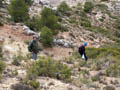 Las Minicas. Zarzadilla de Totana. Murcia