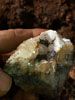 Asociación Cultural Mineralogica de la Sierra de Cartagena la Unión. Excursión a los Pajaritos