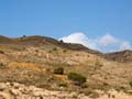 Minería del Ocre. El Sabinar. San Vicente del Raspeig. Alicante