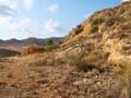 Minería del Ocre. El Sabinar. San Vicente del Raspeig. Alicante