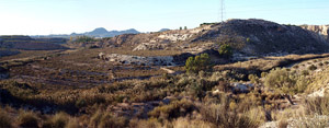 Grupo Mineralógico de Alicante. Barranco del Mulo. Ulea. Murcia