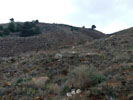 Asociación Cultural Mineralogica de la Sierra de Cartagena la Unión. Excursión a los Pajaritos