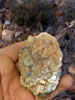 Asociación Cultural Mineralogica de la Sierra de Cartagena la Unión. Excursión a los Pajaritos