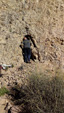 Asociación Cultural Mineralogica de la Sierra de Cartagena la Unión Cabezo Negro de Zeneta. Zeneta. Murcia