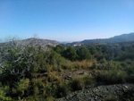   Paraje Barranco de Ojos. Aspe.  Alicante