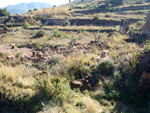   Minas Marúa Dolores y Catón. Paraje los Pajaritos. La Unión. Murcia  Alicante