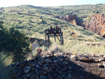   Minas Marúa Dolores y Catón. Paraje los Pajaritos. La Unión. Murcia  Alicante