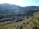   Paraje Barranco de Ojos. Aspe.  Alicante