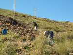   Paraje Barranco de Ojos. Aspe.  Alicante