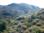   Paraje Barranco de Ojos. Aspe.  Alicante