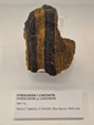 Exposición Tesoros de la Tierra. Minerales de la Comunidad Valenciana. Colección Juan Miguel Casanova Onrubia