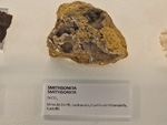 Exposición Tesoros de la Tierra. Minerales de la Comunidad Valenciana. Colección Juan Miguel Casanova Onrubia