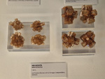 Exposición Tesoros de la Tierra. Minerales de la Comunidad Valenciana. Colección Juan Miguel Casanova Onrubia