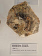 Exposición Tesoros de la Tierra. Minerales de la Comunidad Valenciana. Colección Juan Miguel Casanova Onrubia