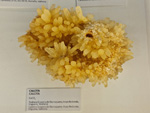 Exposición Tesoros de la Tierra. Minerales de la Comunidad Valenciana. Colección Juan Miguel Casanova Onrubia