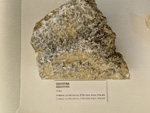 Exposición Tesoros de la Tierra. Minerales de la Comunidad Valenciana. Colección Juan Miguel Casanova Onrubia