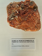 Exposición Tesoros de la Tierra. Minerales de la Comunidad Valenciana. Colección Juan Miguel Casanova Onrubia