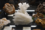  Bologna Mineral Show