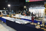 Bologna Mineral Show