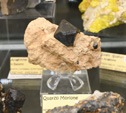 Grupo Mineralógico de Alicante.  Bologna Mineral Show 